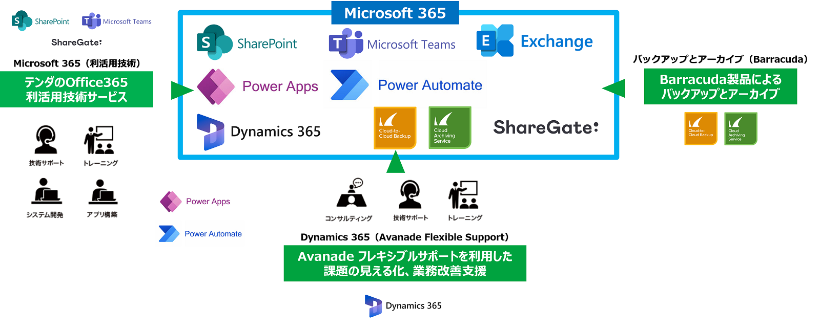 Microsoft 365を活用した業務改善を支援